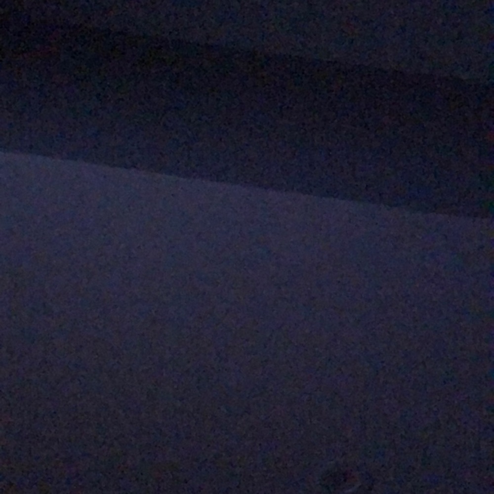 Meet your Posher, Dina